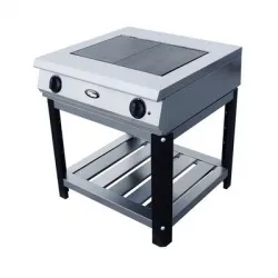 Купить плита электрическая grill master ф2жтлпэ в Москве – цена завода, доставка до двери | RuOborudovanie.ru