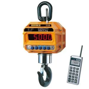 Весы крановые Cas 10 THD TW-100 с пультом ДУ (10т/5кг) – купить в Москве по цене завода