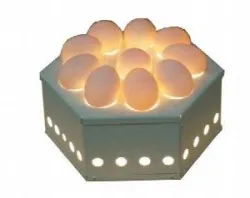 Овоскоп Итерма (Iterma) Egg10 – купить в Москве с доставкой Купить овоскоп итерма (iterma) egg10 в Москве – цена завода, доставка до двери | RuOborudovanie.ru