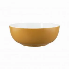 Салатник Seltmann Weiden Life Amber Gold 65015 20 СМ 001.757422 – купить в Москве по цене завода