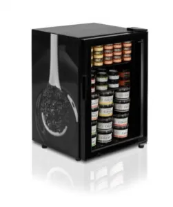 Шкаф морозильный Tefcold Ur90G-Sub Zero на 920л барный для икры – купить в Москве по цене завода