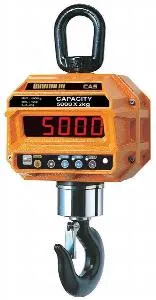Весы крановые Cas 1 THD (1т/0,5кг) IP65 электронные – купить в Москве по цене завода