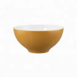 Салатник Seltmann Weiden Life Amber Gold 65015 15,5 СМ 001.757421 – купить в Москве с доставкой Купить салатник seltmann weiden life amber gold 65015 15,5 см 001.757421 в Москве – цена завода, доставка до двери | RuOborudovanie.ru