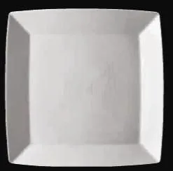 Блюдо квадратное фарфор 33СМ Rosenthal Loft16531 – купить в RuOborudovanie.ru с доставкой до двери Купить блюдо квадратное фарфор 33см rosenthal loft16531 – цена от завода, доставка до двери | RuOborudovanie.ru