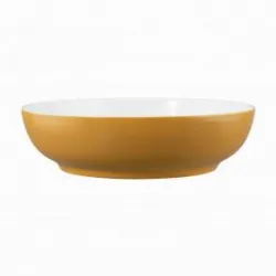 Купить салатник seltmann weiden life amber gold 65015 25 см 001.757423 в Москве – цена завода, доставка до двери | RuOborudovanie.ru