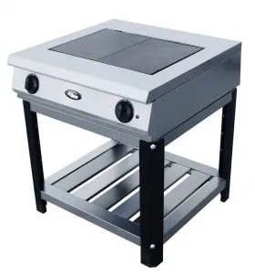 Плита 2 конфорочная Grill Master ф2жтлпэ 24010 – купить в Москве по цене завода