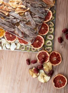 Дегидратор Kocateq DHFD16 для овощей с 16 уровнями 39,6х39,6см (сушилка) – купить в Москве по цене завода