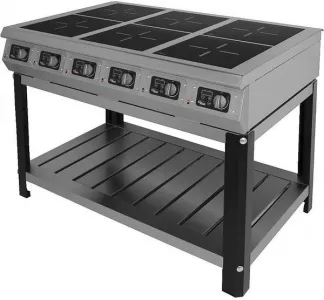 Плита индукционная Grill Master Ф6ИП/800 60010 (на подставке) 6 зон нагрева – купить в Москве по цене завода