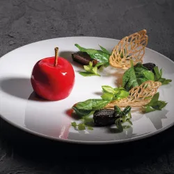 Купить форма силиконовая "gourmand яблоко" d45мм h37,5мм, 46мл, 15 ячеек gg036s – цена от завода, доставка до двери | RuOborudovanie.ru