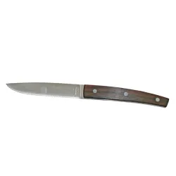 Купить нож для стейка 11см, ручка из палисандра, цвет темный 23300.st06000.110 – цена от завода, доставка до двери | RuOborudovanie.ru