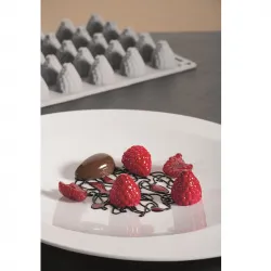 Форма силиконовая "Gourmand ягода" D24Мм H27Мм, 7мл, 35 ячеек Gg017S – купить в Москве с доставкой Купить форма силиконовая "gourmand ягода" d24мм h27мм, 7мл, 35 ячеек gg017s в Москве – цена завода, доставка до двери | RuOborudovanie.ru
