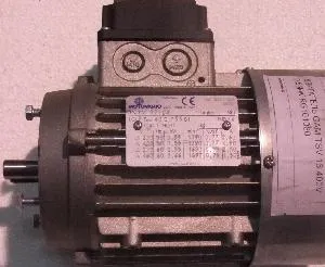 Двигатель Gam Tsv 16 400V 0.55Kw Rg101080