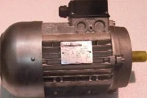 Двигатель тестомеса Gam S40/S50 Rg102631