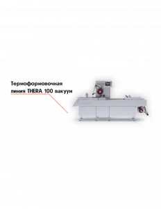 Термоформовочная линия THERA 100 вакуум – купить по цене завода
