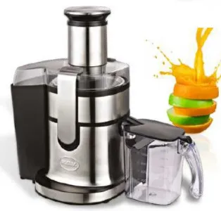 Соковыжималка RGV Industrial Juicer Mc4 арт.218540 – купить в Москве по цене завода