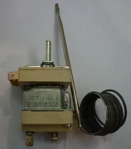 Термостат Electrolux Professional с выключателем 50-260C 002109