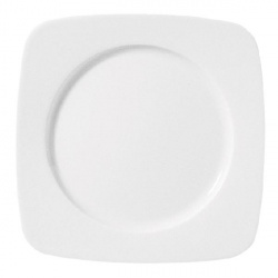 Тарелка мелкая квадратная 26Х26СМ Arenas 0011702920000 – купить в RuOborudovanie.ru с доставкой до двери Купить тарелка мелкая квадратная 26х26см arenas 0011702920000 – цена от завода, доставка до двери | RuOborudovanie.ru