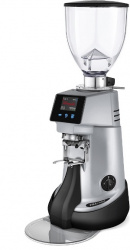 Кофемолка Fiorenzato F83 E Xgi (серый)