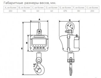Весы крановые Невские весы ВСК-5000В (5 тонн) – купить в Москве по цене завода