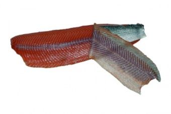 Шкуросъёмная машина для рыбы Nock Cortex CBF 496 SALMON – купить в Москве по цене завода