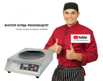 Плита индукционная Kocateq ZLIC3500 WOK настольная с 1 конфоркой 27,5см – купить в Москве по цене завода