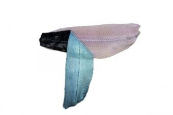 Шкуросъёмная машина для рыбы Nock Skinex SBW 496 WHITE FISH – купить в Москве по цене завода