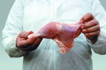 Шкуросъёмная машина Nock Cortex CBP 496 POULTRY – купить в Москве по цене завода