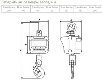 Весы крановые Невские весы ВСК-2000В (2 тонны) – купить в Москве по цене завода